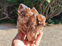 Natural Cascading Smokey Citrine Quartz Clusters x 2 From Luena, Congo