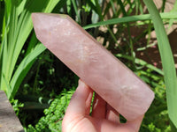 Polished Rose Quartz Crystals x 2 From Madagascar