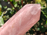 Polished Rose Quartz Crystals x 2 From Madagascar