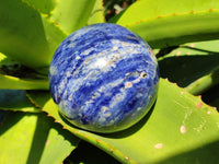 Polished Sodalite Spheres x 2 From Kunene River, Namibia