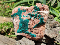 Natural Dioptase On Dolomite Specimens x 1 From Likasi, Congo