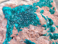 Natural Dioptase On Dolomite Specimens x 1 From Likasi, Congo