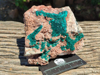 Natural Dioptase On Dolomite Specimens x 1 From Likasi, Congo