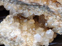Natural Golden Limonite Quartz Clusters x 2 From Solwezi Zambia