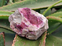 Natural Salrose Cobaltion Dolomite Specimens x 4 From Kakanda, Congo
