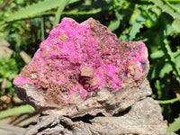 Natural Salrose Cobaltion Dolomite Specimens x 4 From Kakanda, Congo