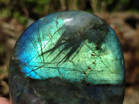 Polished Labradorite Standing Free Forms x 12 From Tulear, Madagascar