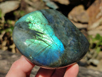 Polished Labradorite Standing Free Forms x 12 From Tulear, Madagascar