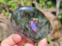 Polished Labradorite Standing Free Forms x 12 From Tulear, Madagascar