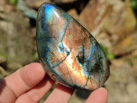 Polished Labradorite Standing Free Forms x 12 From Tulear, Madagascar