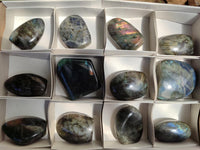 Polished Labradorite Standing Free Forms x 12 From Tulear, Madagascar