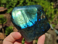 Polished Labradorite Standing Free Forms x 12 From Tulear, Madagascar