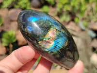 Polished Labradorite Standing Free Forms x 12 From Tulear, Madagascar
