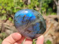 Polished Labradorite Standing Free Forms x 12 From Tulear, Madagascar