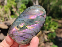 Polished Labradorite Standing Free Forms x 12 From Tulear, Madagascar