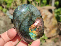 Polished Labradorite Standing Free Forms x 12 From Tulear, Madagascar
