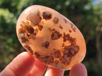 Polished Flower Agate Galets x 12 From Antsahalova, Madagascar