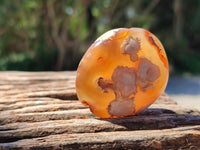 Polished Flower Agate Galets x 12 From Antsahalova, Madagascar