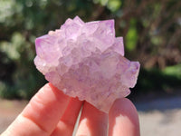 Natural Sunburst Amethyst Spirit Clusters x 20 From Boekenhouthoek, South Africa
