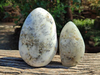 Polished Dendritic Opal Standing Free Forms x 2 From Moralambo, Madagascar