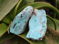 Natural Drusy Coated Chrysocolla On Dolomite Specimens x 5 From Lupoto Mine, Congo