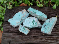 Natural Drusy Coated Chrysocolla On Dolomite Specimens x 5 From Lupoto Mine, Congo