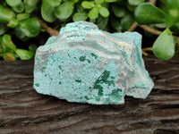 Natural Drusy Coated Chrysocolla On Dolomite Specimens x 5 From Lupoto Mine, Congo