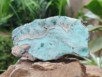 Natural Drusy Coated Chrysocolla On Dolomite Specimens x 5 From Lupoto Mine, Congo