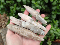 Natural Drusy Quartz Coated Spearhead Calcite Specimens x 24 From Albert's Mountain, Lesotho
