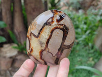 Polished Septerye Standing Free Forms x 4 From Mahajanga, Madagascar
