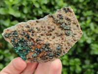 Natural Libethenite Crystals On Dolomite Matrix Specimens x 6 From Shituru, Congo