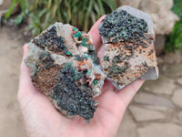 Natural Libethenite Crystals On Dolomite Matrix Specimens x 6 From Shituru, Congo