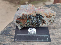 Natural Libethenite Crystals On Dolomite Matrix Specimens x 6 From Shituru, Congo