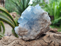 Natural Blue Celestite Specimens x 6 From Sakoany, Madagascar