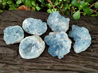 Natural Blue Celestite Specimens x 6 From Sakoany, Madagascar