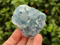 Natural Blue Celestite Specimens x 6 From Sakoany, Madagascar