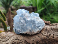 Natural Blue Celestite Specimens x 6 From Sakoany, Madagascar