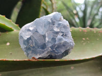 Natural Blue Celestite Specimens x 6 From Sakoany, Madagascar