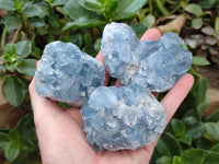 Natural Blue Celestite Specimens x 6 From Sakoany, Madagascar