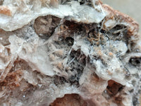 Natural Rare Bladed Barite Specimens x 1 From Congo