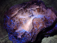 Natural Rare Bladed Barite Specimens x 1 From Congo