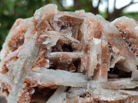 Natural Rare Bladed Barite Specimens x 1 From Congo