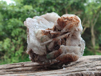 Natural Rare Bladed Barite Specimens x 1 From Congo