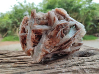Natural Rare Bladed Barite Specimens x 1 From Congo