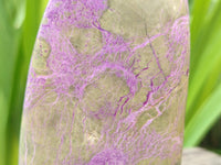 Polished Stichtite Standing Free Forms x 2 From Barberton, South Africa