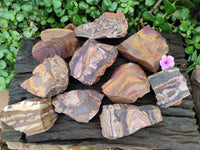 Natural Nguni Jasper Cobbed Specimens x 12 From Northern Cape, South Africa