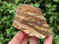Natural Nguni Jasper Cobbed Specimens x 12 From Northern Cape, South Africa