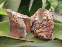 Natural Nguni Jasper Cobbed Specimens x 12 From Northern Cape, South Africa