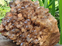 Natural XXL Cascading Smokey Citrine Quartz Cluster x 1 From Luena, Congo