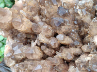 Natural XXL Cascading Smokey Citrine Quartz Cluster x 1 From Luena, Congo
